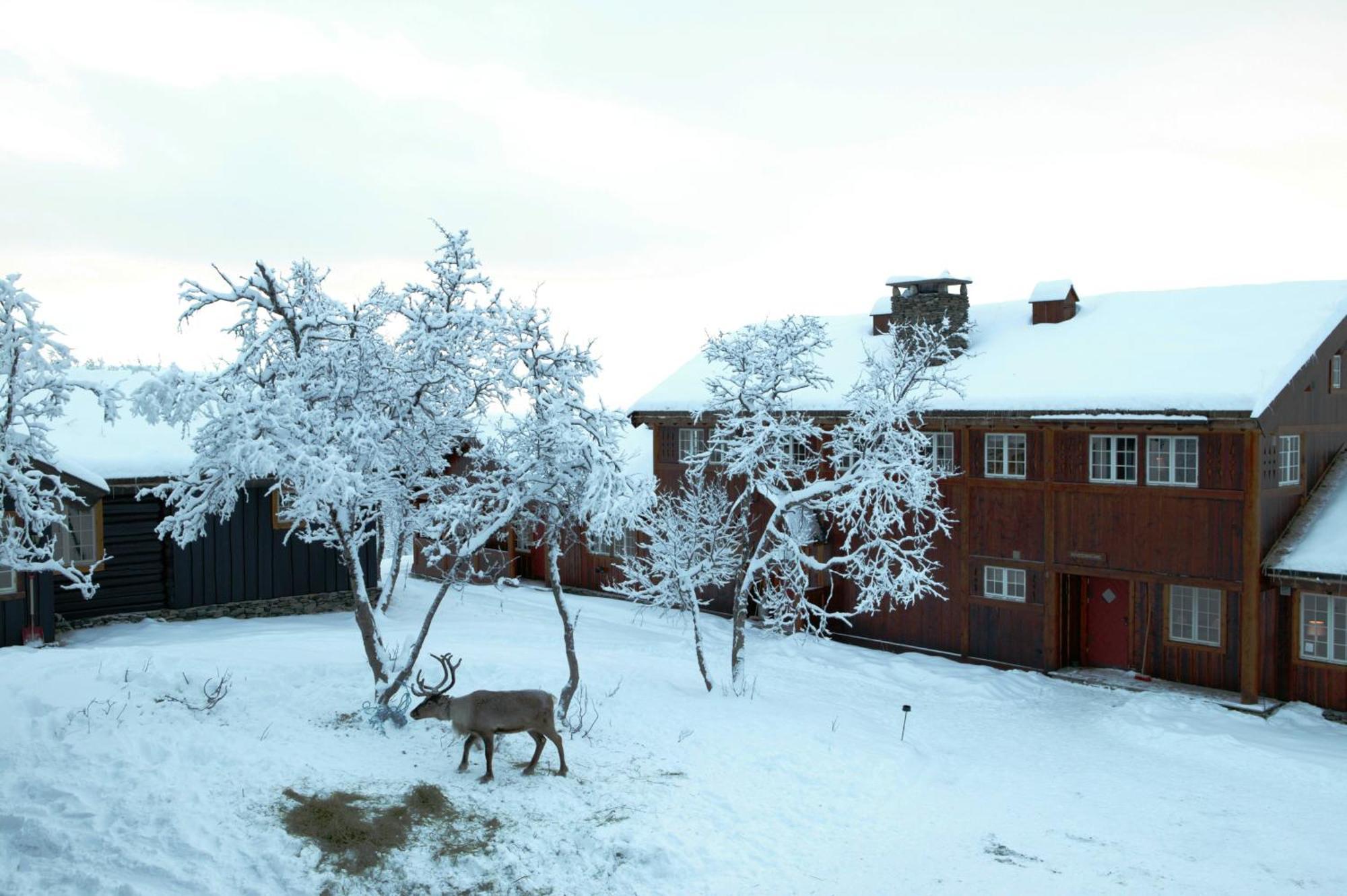 Отель Harahorn Fjellgard Grondalen  Экстерьер фото