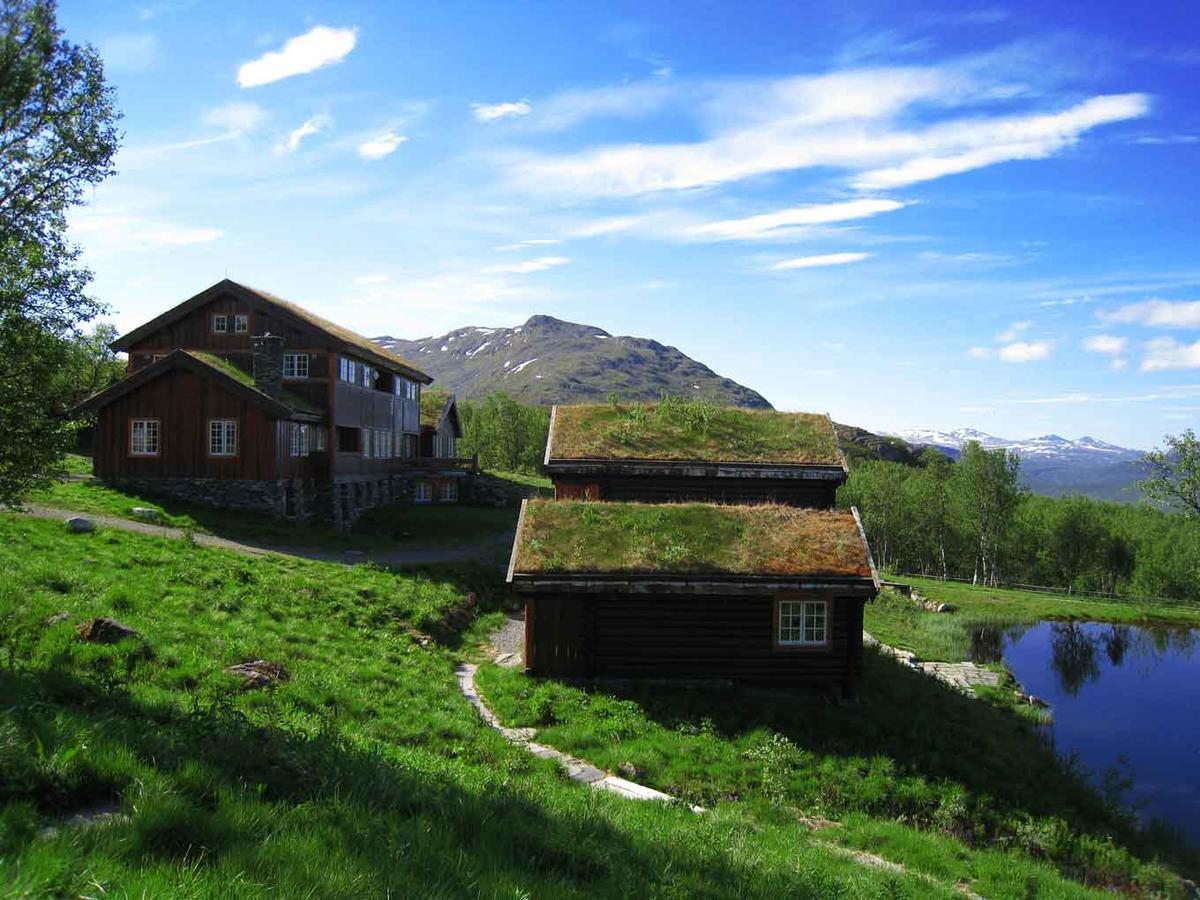 Отель Harahorn Fjellgard Grondalen  Экстерьер фото